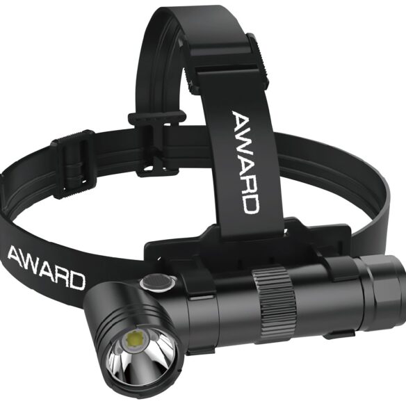 Award ladattava led 2000 otsavalaisin