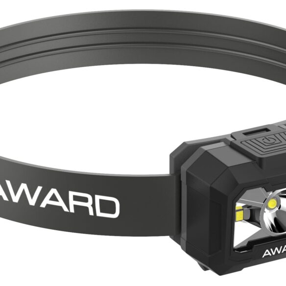 Award Arian 200 otsavalaisin