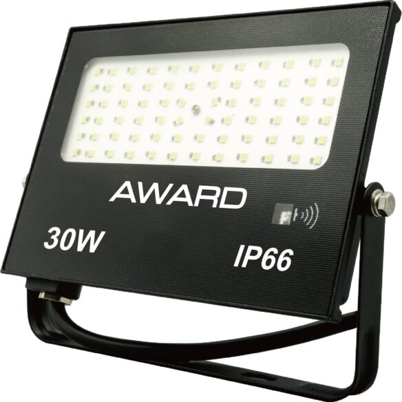 Award Garej 3000 sensor valaisin